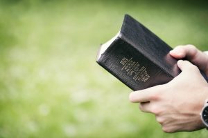 Libro di Mormon e le scritture