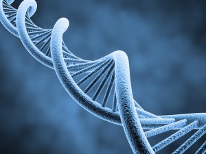 La sfida del DNA al Libro di Mormon