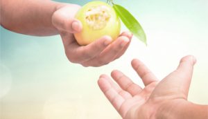 Creazione, peccato originale e libero arbitrio: tutto quello che c’è da sapere