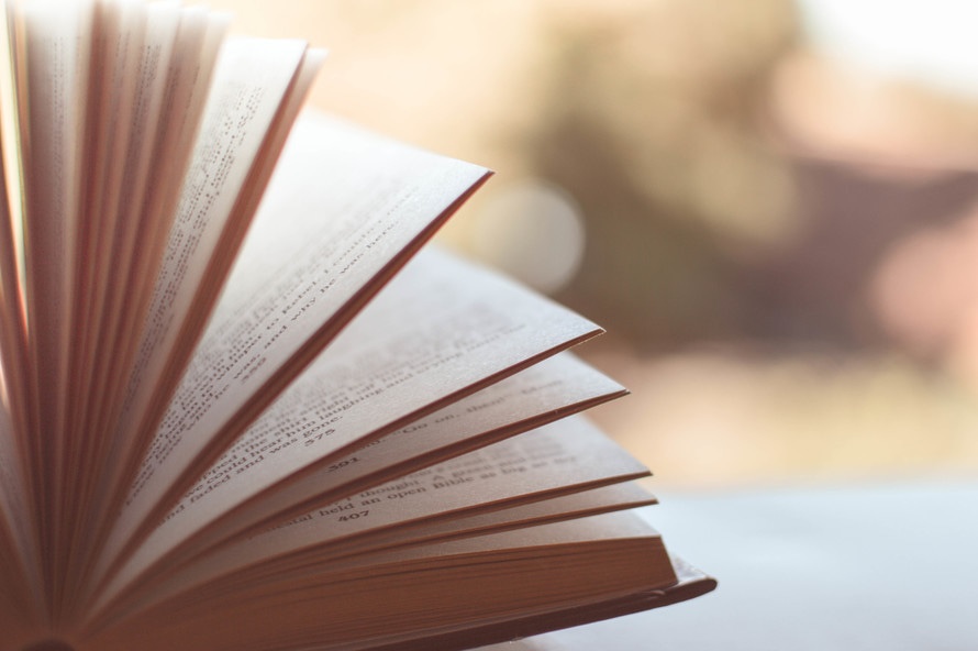 Libro aperto letteratura