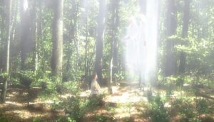La Chiesa Mormone pubblica un nuovo video sul racconto della Prima Visione di Joseph Smith