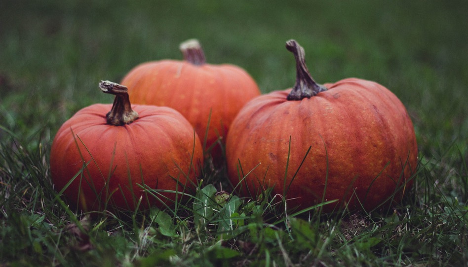 zucca zucca di Halloween