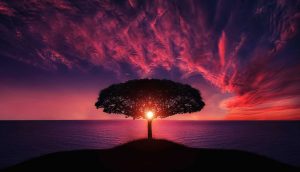 5 motivi per i quali lottiamo con il nostro potenziale eterno
