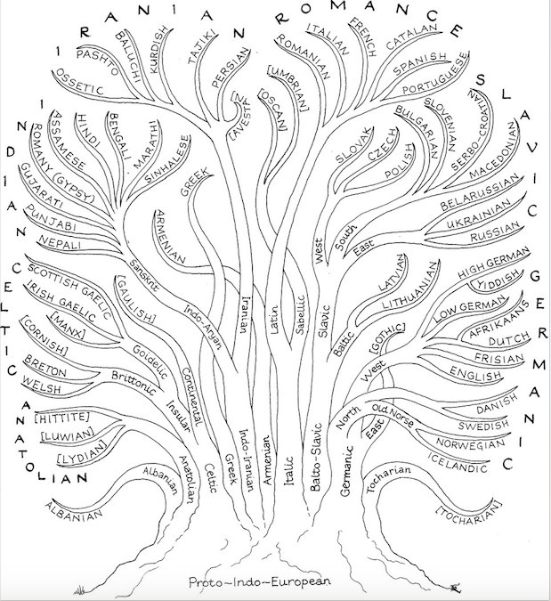Alberi genealogici delle lingue indoeuropee e semitiche