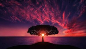 Il sogno di Lehi: vivere il Vangelo in modo scrupoloso
