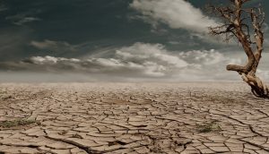 deserto