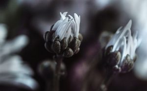 5 spunti importanti da tenere a mente per ogni nuovo inizio