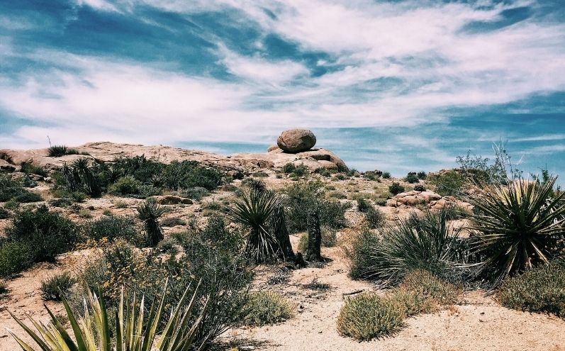 deserto nel Libro di Mormon note a piè di pagina - E avvenne che Ismaele morì e fu sepolto nel luogo che era chiamato Nahom