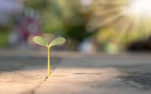Quattro passi per accrescere la pazienza