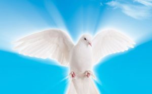 7 Passi nel cammino mediante lo Spirito di Dio