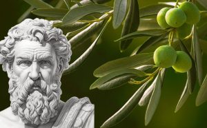 In che modo l’allegoria di Zenos in Giacobbe 5 parla di noi?